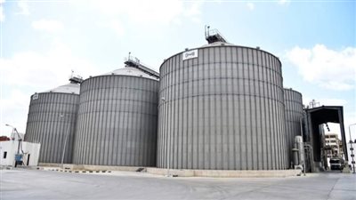 توريد 161 ألف 627 طنًا من القمح بمخازن الغربية
