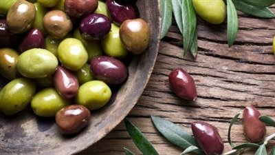 مخلل الزيتون.. يحسن الذاكرة ويقلل الالتهابات