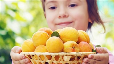 رغم فوائده الصحية.. ٤ فئات ممنوعون من أكل المشمش