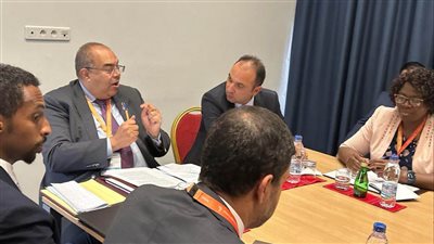 إفريقيا بحاجة إلى تعظيم جدوى إنتاج الهيدروجين الأخضر 