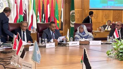السفير محمدي الني: التكامل الاقتصادي العربي ضرورة لمواجهة التحديات العالمية