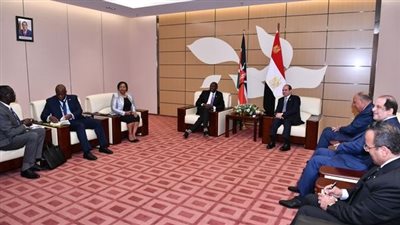 السيسي يثمن دور كينيا في ملف سد النهضة وحرصها على استقرار أفريقيا