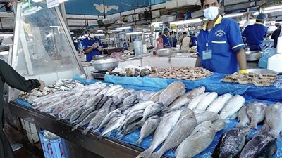 تراجع أسعار الأسماك اليوم السبت في مصر