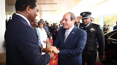 دلالات زيارات الرئيس السيسي لأفريقيا| فيديو 