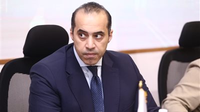 محمود فوزي: لا انتخابات رئاسية مبكرة.. والرئيس يستكمل مدته الدستورية