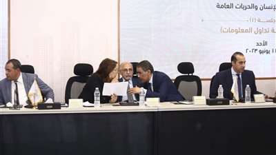 طلعت عبد القوي: مسألة تفرغ أعضاء مجلسي النواب والشيوخ يجب أن تكون بتروي وحكمة