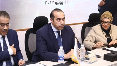 المستشار محمود فوزي يؤكد جواز الطعن على قرارات الأعلى للإعلام بشأن حجب المواقع الصحفية