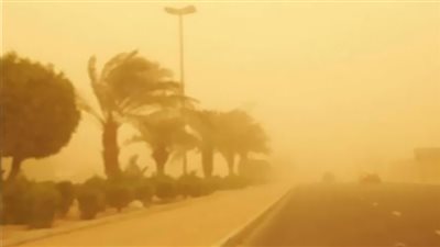 عاصفة ترابية تضرب أسوان.. تفاصيل 