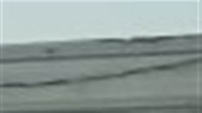 محافظ المنوفية: ضبط طن و 715 كيلو قمح تم تجميعها دون ترخيص