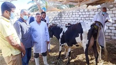 جامعة الزقازيق توجه قافلة بيطرية لقرية عزبة البحر
