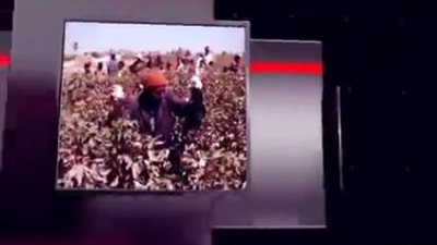 انفوجراف.. جهود مديريات الزراعة والطب البيطري في أسبوع