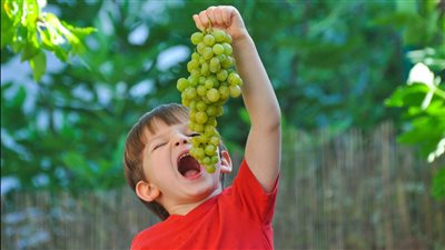 تناول العنب يساعد العنب على مقاومة الأمراض المسببة للإعاقة