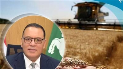 توريد 524 ألف طن قمح لشون وصوامع الشرقية 