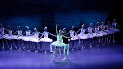 أمسيات صيفية لبحيرة البجع في الأوبرا