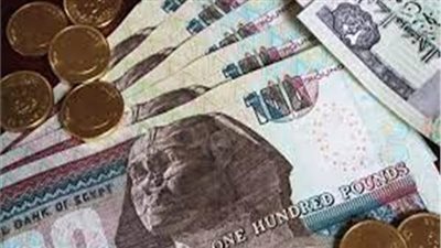 الحكومة تكشف حقيقة تحريك سعر الصرف (فيديو)