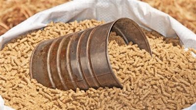 أسعار الأعلاف في الأسواق المصرية اليوم الخميس