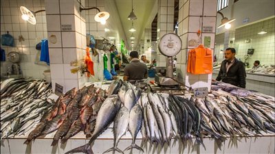 أسعار السمك اليوم السبت في سوق العبور للجملة