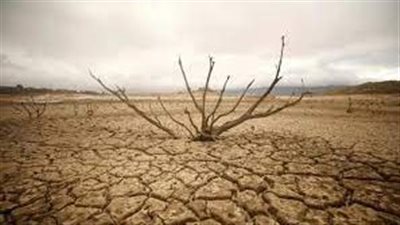 اليوم العالمي لمكافحة التصحر والجفاف.. أهداف الاحتفال 
