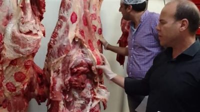 تحرير 61 محضر في حملة تفتيشية بالسنطة وزفتي وطنطا 