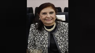 نسرين البغدادي تطالب بربط الأجندة البحثية بالمشروع التنموية