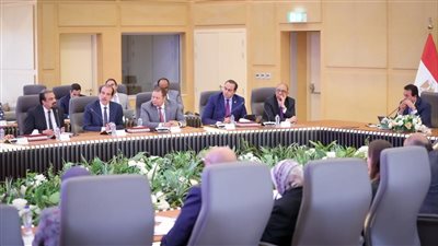 لجنة عليا و9 لجان فرعية لتنظيم المؤتمر العالمي للسكان