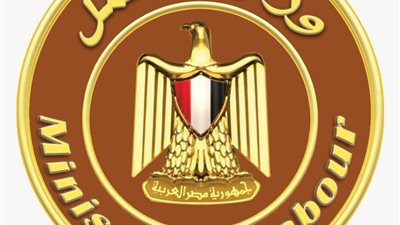 إطلاق المرحلة الثانية من التدريبات المهنية للشباب في مجال التسويق الإلكتروني