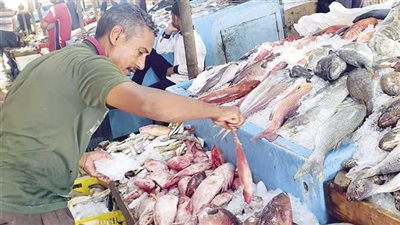 أسعار السمك اليوم الإثنين بسوق العبور