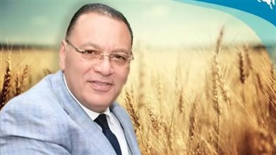 توريد 825 ألف طن قمح لشون وصوامع الشرقية