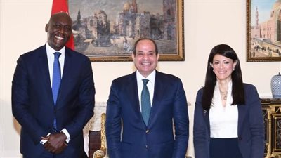 7 مليارات دولار إجمالي استثمارات مؤسسة التمويل الدولية في مصر