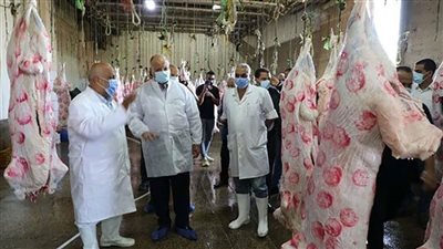 محافظة القاهرة ترفع درجة الاستعداد استقبالاً لعيد الأضحي ومتابعة مستمرة على المجازر 