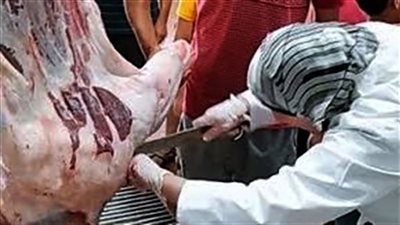 محافظ القاهرة: إلغاء الإجازات للعاملين بالمجازر حتى انتهاء عيد الأضحى 