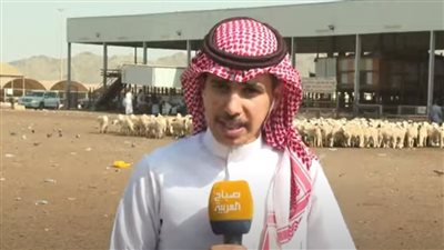 أسعار الأضاحي في سوق الأغنام بمكة المكرمة| فيديو 