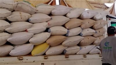 توريد 258 ألفً و490 طن قمح في كفرالشيخ