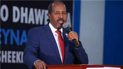 الرئيس الصومالي يدعو لتوحيد الجهود لمواجهة مليشيات الخوارج الإرهابية