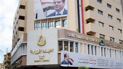 ٦ محافظات تفوز بالتزكية وفى الجيزة القضاء يستبعد ناصر فى اللحظة الأخيرة وقائمة الوكيل تكسب فى الإسكندرية