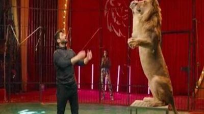 تامر حسني يلعب مع أسد ضخم.. شاب بقوة خارقة 