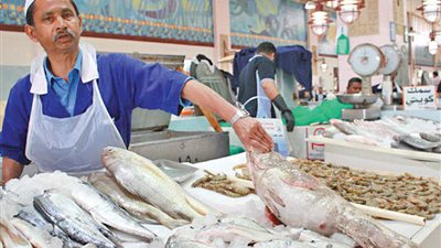 أسعار الأسماك اليوم السبت.. اعرف البلطي وصل كام