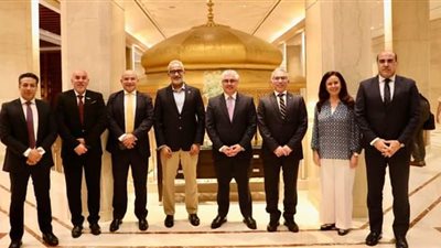 بلاتينيوم الهندية تنفذ مشروعاً لمنتجات المواد المضافة باقتصادية قناة السويس 