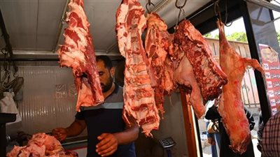 محافظ الغربية يتفقد منافذ بيع اللحوم المدعمة بكفر الزيات