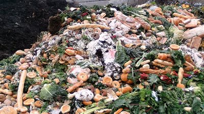 السعوديون يهدرون 4 ملايين طن من نفايات الطعام سنويًا