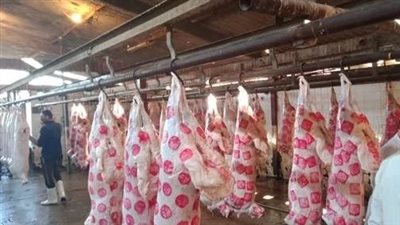 مجانًا .. مجازر بالقاهرة والجيزة تفتح أبوابها في عيد الأَضحى