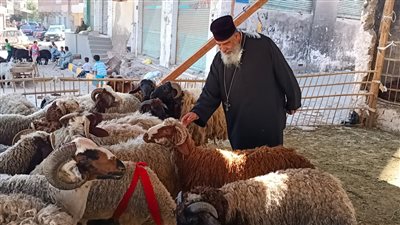 راعى كنيسة الأقباط الكاثوليك بالغردقة يذبح أضحية أول أيام عيد الأضحى 