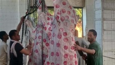 مجازر المنيا تنتهى من استعداداتها لذبح أضاحى العيد مجاناً 