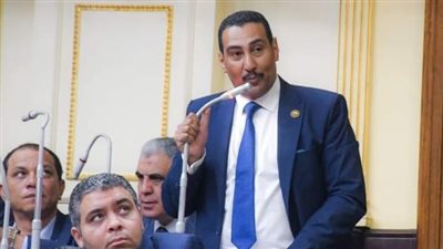 طاقة النواب: الوطنية للانتخابات حريصة على إجراء العملية الانتخابية بنزاهة وشفافية