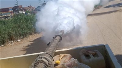 صحة المنيا: تطهير وتعقيم المجازر إستعدادا لعيد الاضحى 