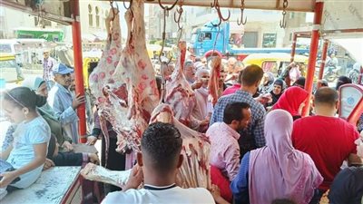 إقبال كبير من مواطني البحيرة علي منافذ بيع اللحوم