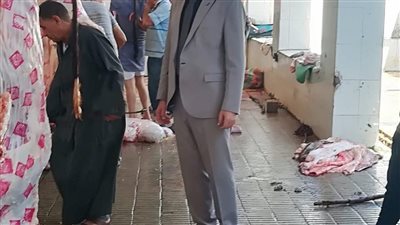   تطهير وتعقيم 16 مجزرًا ونقاط ذبح بكفر الشيخ 