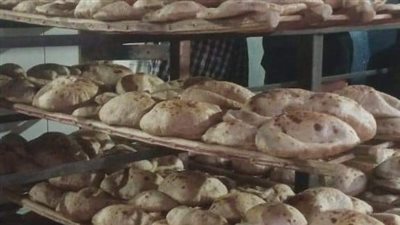 تحرير 385 محضرا فى حملات تموينية بالمنيا