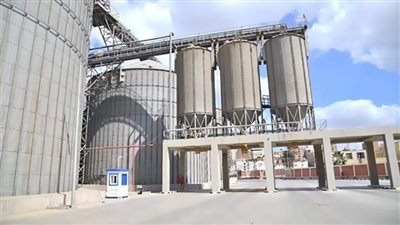 توريد 171 ألف و64 طن من القمح لمخازن الغربية بنسبة 98,04%