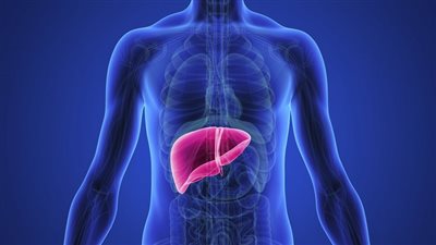 مواد نافعة للكبد وغيرها تدمره.. طبيب يفجر مفاجأة 